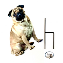 Load image into Gallery viewer, Instant Pug by Puggled